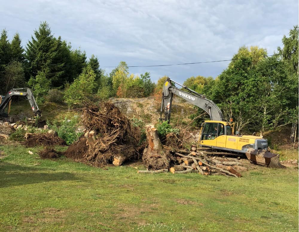 Tjörns golfklubb: Korthålsbanan 1 1 - Ta bort all vegetation och stenar